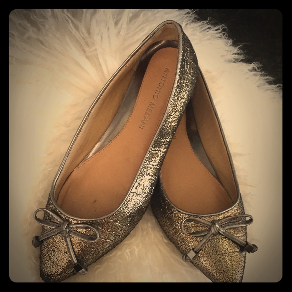 Pointy Toe Flats with Bow